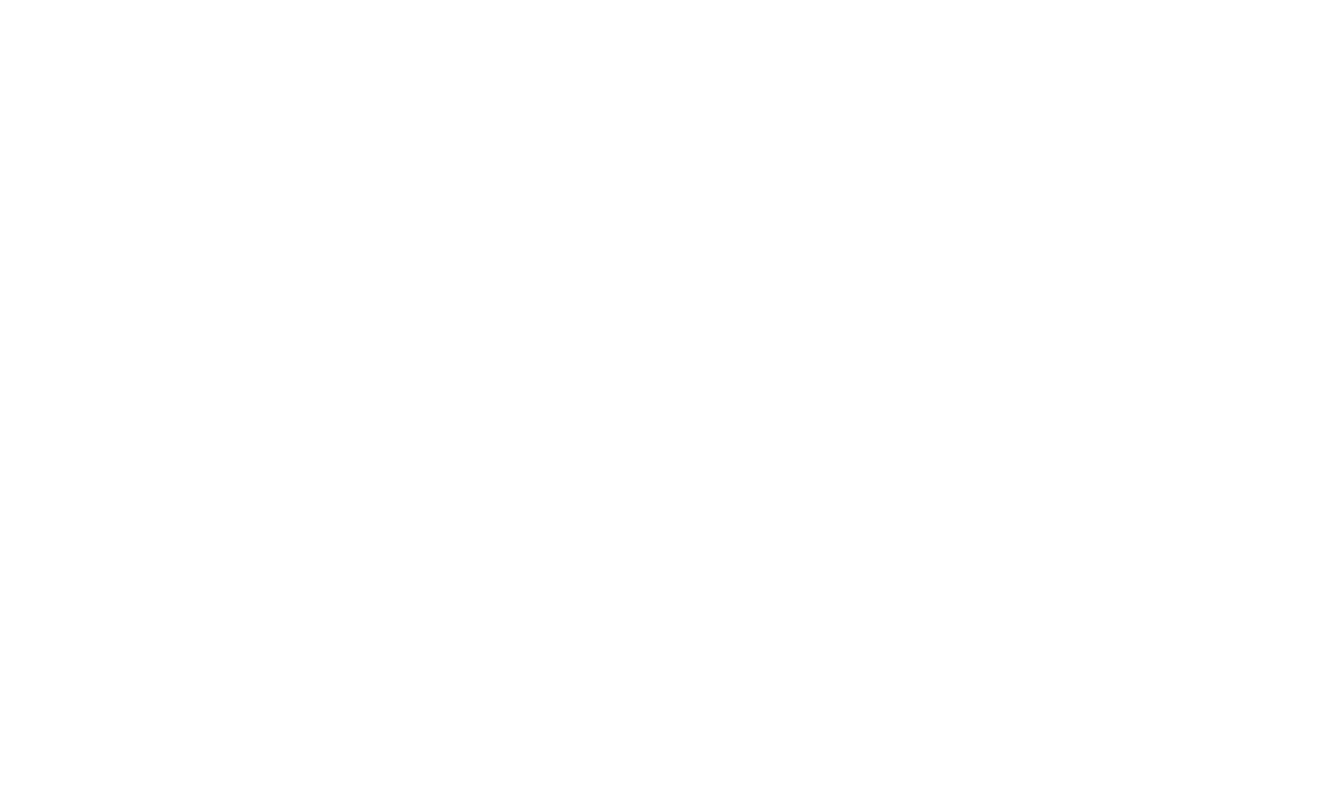 Vector Consulting Group
